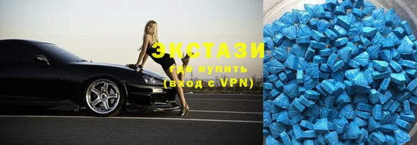 гашик Пестово