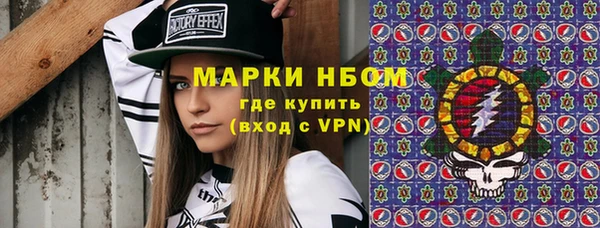гашик Пестово