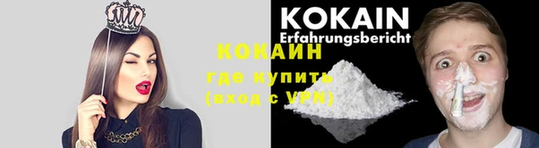 гашик Пестово