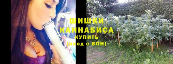 apvp Переславль-Залесский