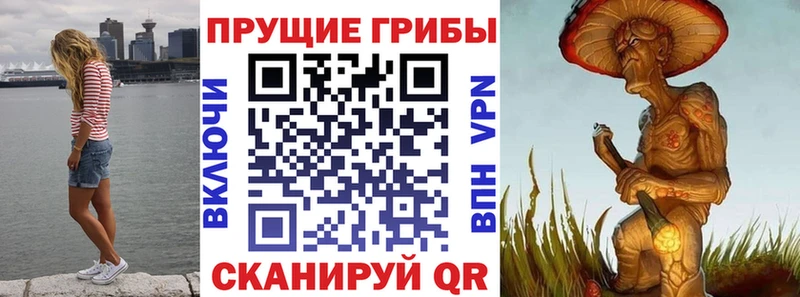 Псилоцибиновые грибы Magic Shrooms  Чухлома 